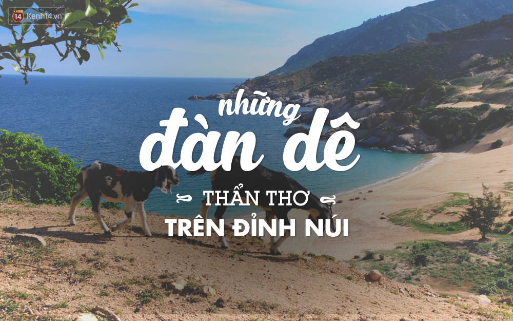 trãi nghiệm tuyệt vời với Hang Rái đẹp siêu thực tại Ninh Thuận