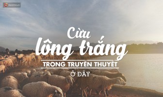 Những trải nghiệm tuyệt vời tại NInh Thuận bạn nhất định phải thử một lần trong đời